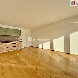 Prodej bytu 1+kk a garsoniéry 31 m² Harrachov Nový Svět, Nový Svět