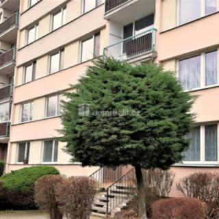 Pronájem bytu 2+1 66 m² Ústí nad Labem Severní Terasa, Werichova