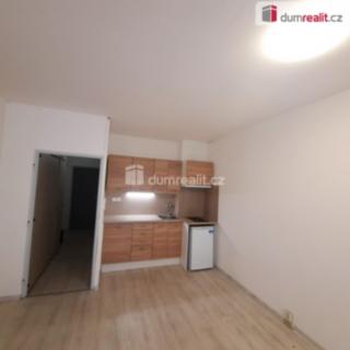 Pronájem bytu 1+kk a garsoniéry 29 m² Liberec I-Staré Město, Ruská