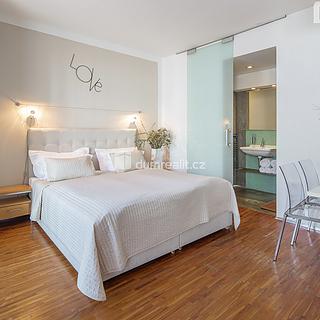 Pronájem bytu 1+kk, garsoniery 30 m&sup2; Praha