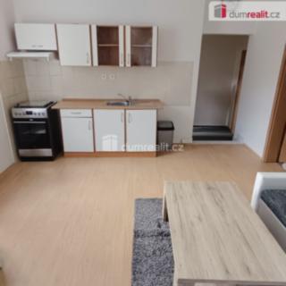 Pronájem bytu 1+1 44 m² Děčín X-Bělá, Saská