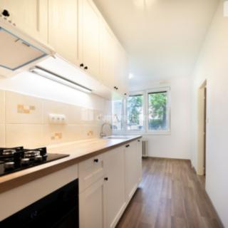 Pronájem bytu 2+1 62 m² České Budějovice 5, Dobrovodská