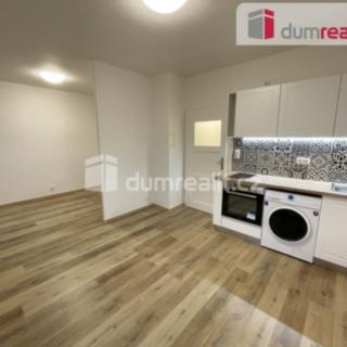 Pronájem bytu 1+kk a garsoniéry 30 m² Praha Nusle, U Svépomoci