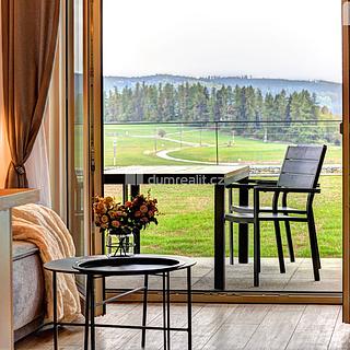 Prodej bytu 1+kk a garsoniéry 47 m² Frymburk Kovářov, Kovářov