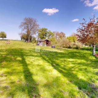 Prodej zahrady 884 m² Litultovice