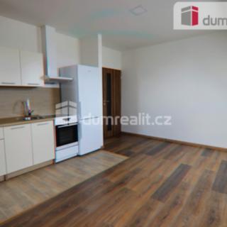 Pronájem bytu 1+kk a garsoniéry 45 m² Veselí nad Moravou, Komenského