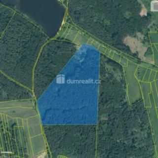Prodej lesa 63319 m² Sepekov
