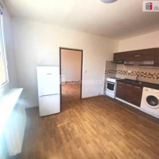 Pronájem bytu 1+1 35 m² Jílové Kamenná, Mládeže