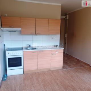 Pronájem bytu 1+1 35 m² Děčín IX-Bynov, Na Pěšině