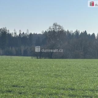 Prodej lesa 38 487 m² Vlkanov, Vlkanov
