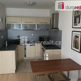 Pronájem bytu 2+kk 42 m² Praha Suchdol, Holubí