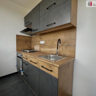 Pronájem bytu 1+1 28 m² Krupka, Sídliště