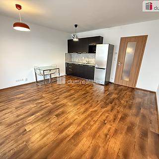 Pronájem bytu 1+kk, garsoniery 42 m² Praha