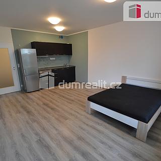 Pronájem bytu 1+kk, garsoniery 35 m² Praha