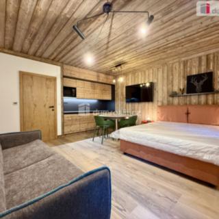 Prodej bytu 1+kk a garsoniéry 40 m² Harrachov, Harrachov