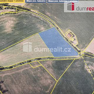 Prodej louky 5 593 m² Sedlčany Libíň, Libíň