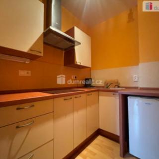 Pronájem bytu 1+kk a garsoniéry 27 m² Opava Předměstí, Hauerova