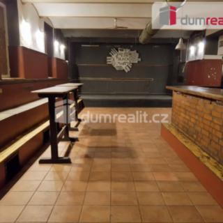 Pronájem ostatního komerčního prostoru 220 m² České Budějovice 6, U Tří lvů
