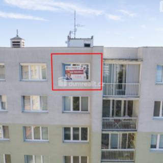 Prodej bytu 1+kk, garsoniery 28 m² České Budějovice