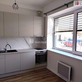 Pronájem bytu 1+kk a garsoniéry 21 m² Děčín III-Staré Město, Zelená