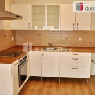 Pronájem bytu 1+kk a garsoniéry 43 m² Ústí nad Labem -centrum, Důlce