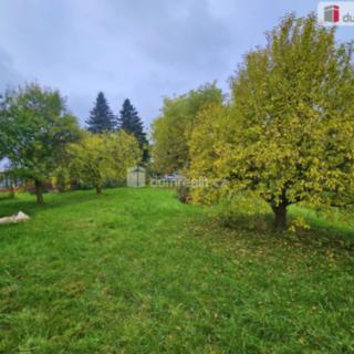 Prodej zahrady 1 142 m² Tachov, Tachov