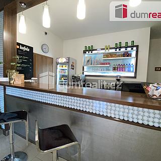 Pronájem ostatního komerčního prostoru 70 m² Břeclav, Na Hrůdách