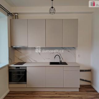 Pronájem bytu 1+kk a garsoniéry 20 m² Děčín III-Staré Město, Zelená