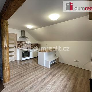 Prodej bytu 1+kk, garsoniery 48 m&sup2; Krnov