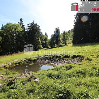 Prodej stavební parcely 4 233 m² Merklín Pstruží, Pstruží