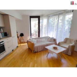 Pronájem bytu 2+kk 55 m² Praha Žižkov, Pitterova