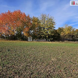 Prodej zemědělské půdy 3121 m² Liběšice