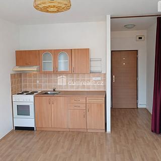 Pronájem bytu 1+kk a garsoniéry 25 m² Děčín VI-Letná, Želenická