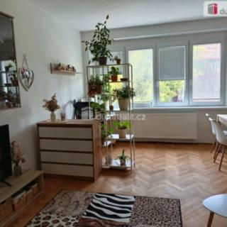 Pronájem bytu 2+1 53 m² Praha Podolí, Dvorecká