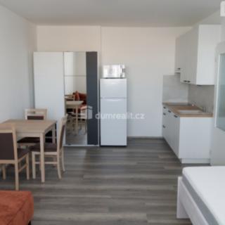 Pronájem bytu 1+kk a garsoniéry 32 m² Praha Střížkov, Děčínská