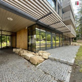 Pronájem obchodu 45 m² Harrachov, Harrachov