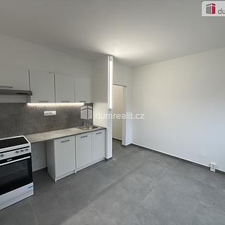 Pronájem bytu 1+kk, garsoniery 19 m² Ústí nad Labem