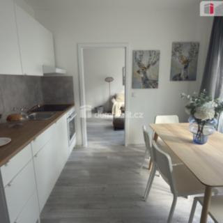 Pronájem bytu 2+kk 39 m² Ústí nad Labem Střekov, Purkyňova