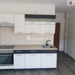 Pronájem bytu 1+1 34 m² Děčín IX-Bynov, Na Pěšině