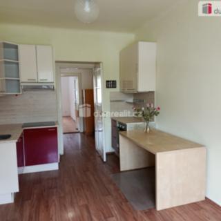 Pronájem bytu 1+1 55 m² Praha