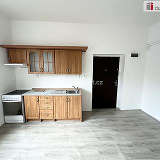 Pronájem bytu 1+1 53 m² Bystřany
