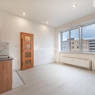 Pronájem bytu 1+kk, garsoniery 17 m² České Budějovice