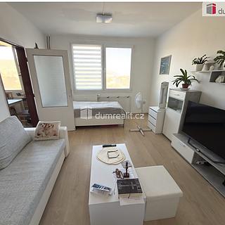 Pronájem bytu 1+1 37 m² Chlumec Hrbovice, Hrbovická