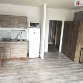 Pronájem bytu 1+kk a garsoniéry 35 m² Ústí nad Labem Krásné Březno, Obvodová