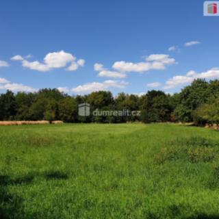 Prodej zahrady 1 141 m² Hranice IV-Drahotuše, Hranice IV-Drahotuše