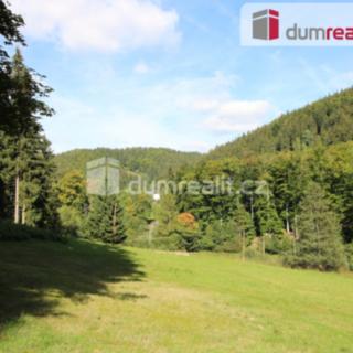 Prodej stavební parcely 4 233 m² Merklín Pstruží, Pstruží