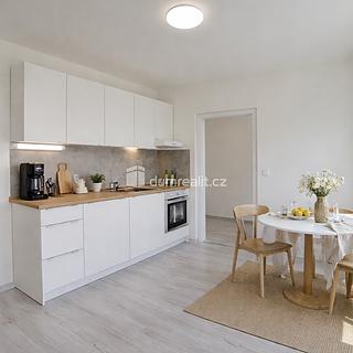 Pronájem bytu 1+1 32 m² Ústí nad Labem Střekov, Purkyňova