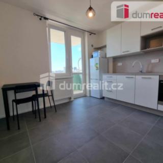 Pronájem bytu 1+1 46 m² Praha