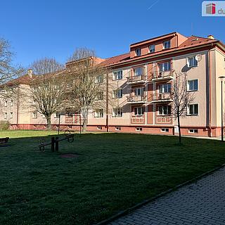 Prodej bytu 2+1 75 m² Ostrov, Hlavní třída