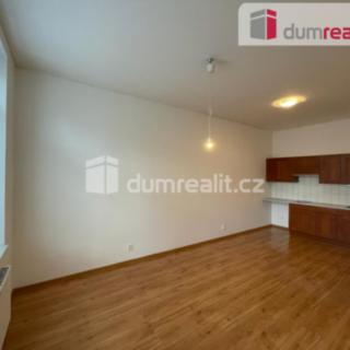 Pronájem bytu 1+kk a garsoniéry 35 m² Opava Předměstí, Kasárenská